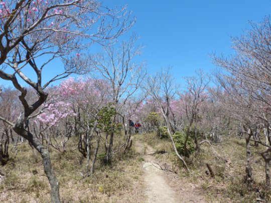 画像34